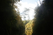 Enlarge photo 57