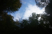 Enlarge photo 58