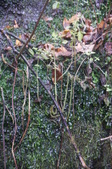 Enlarge photo 63