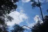 Enlarge photo 62