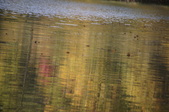 Enlarge photo 64