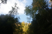 Enlarge photo 65