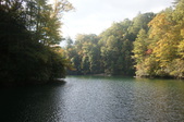 Enlarge photo 72