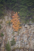 Enlarge photo 82