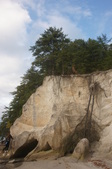 Enlarge photo 88
