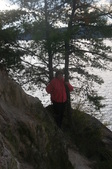 Enlarge photo 93