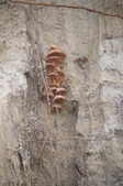 Enlarge photo 92