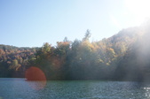 Enlarge photo 50