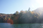 Enlarge photo 51