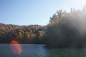 Enlarge photo 52