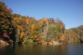 Enlarge photo 60