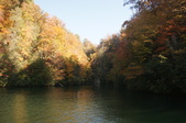 Enlarge photo 61
