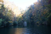 Enlarge photo 63