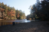 Enlarge photo 70