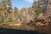 Enlarge photo 75