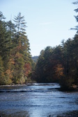 Enlarge photo 77