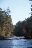 Enlarge photo 78