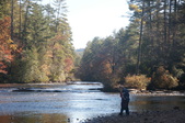 Enlarge photo 80