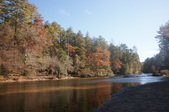Enlarge photo 85
