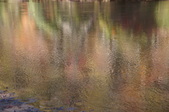 Enlarge photo 91