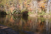 Enlarge photo 92