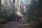 Enlarge photo 98