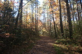 Enlarge photo 99