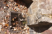 Enlarge photo 102