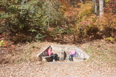 Enlarge photo 106