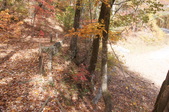 Enlarge photo 107