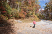 Enlarge photo 108