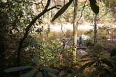 Enlarge photo 109