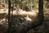 Enlarge photo 110
