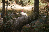 Enlarge photo 111