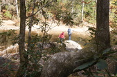 Enlarge photo 112