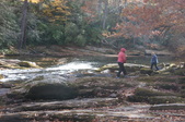 Enlarge photo 113