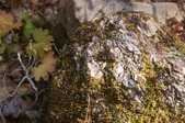 Enlarge photo 117