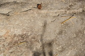 Enlarge photo 119