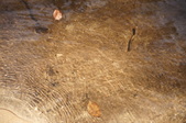 Enlarge photo 120