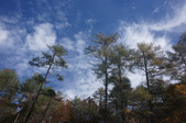 Enlarge photo 121