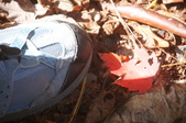 Enlarge photo 122