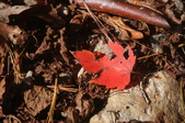 Enlarge photo 123