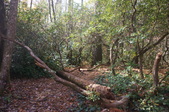 Enlarge photo 125