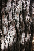 Enlarge photo 126