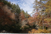 Enlarge photo 129