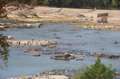 Enlarge photo 163