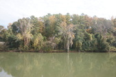 Enlarge photo 165