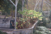 Enlarge photo 166