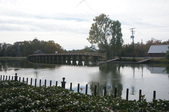 Enlarge photo 171