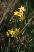 Enlarge photo 18